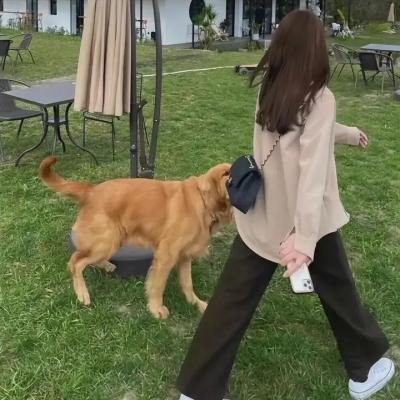 横门寻春